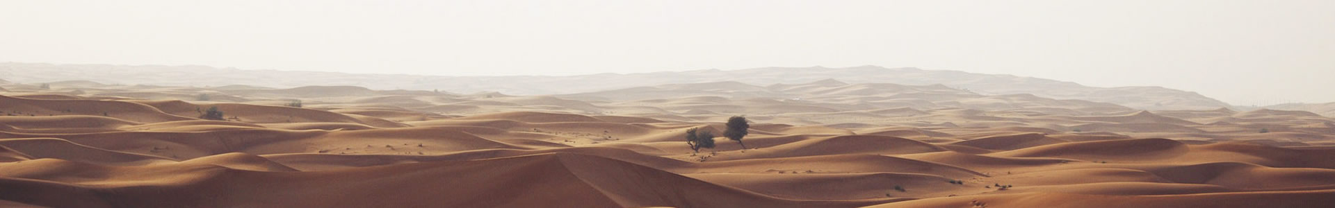 ൺ-ҵƼ޹˾